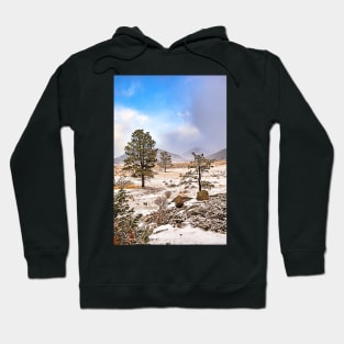 RMNP Winter Study 10 Hoodie